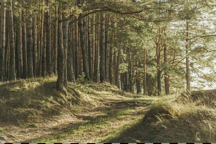  REMBE® the employer.